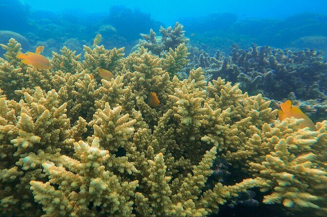 3-Day Sailing Adventure Around Komodo National Park - FAQs