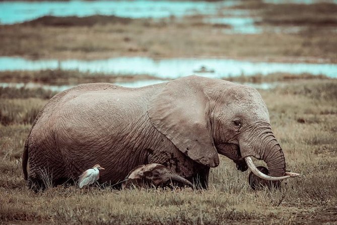 3-Day Samburu Luxury Safari - The Sum Up