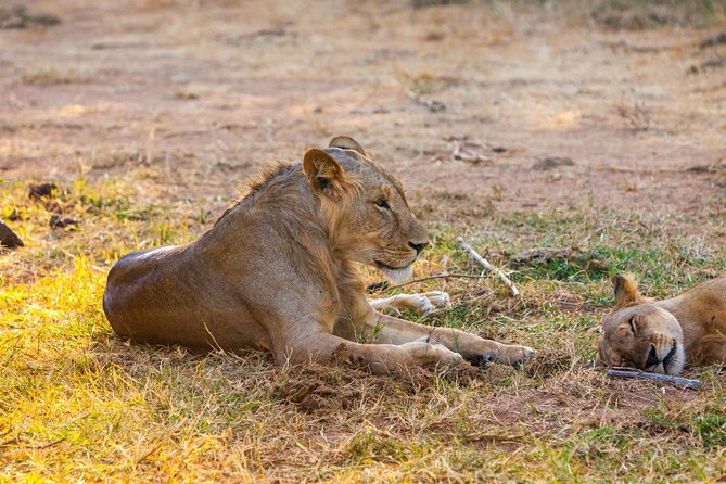 3-Day Samburu Safari From Nairobi - Accommodation Arrangements