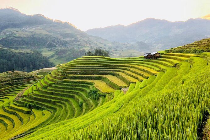 3-Day Sapa Adventure: Trekking Terraces and Hill Tribe Villages - Day 1: From Sapa to Y Linh Ho, Lao Chai, and Ta Van