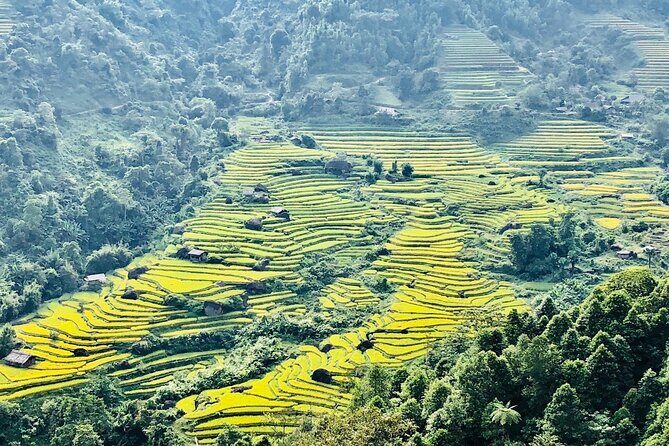 3-Day Sapa Adventure: Trekking Terraces and Hill Tribe Villages - Day 3: Revisiting Villages and Returning to Sapa