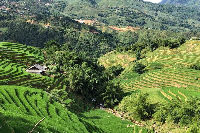 3-Day Sapa Adventure: Trekking Terraces and Hill Tribe Villages - Authenticity and Experience