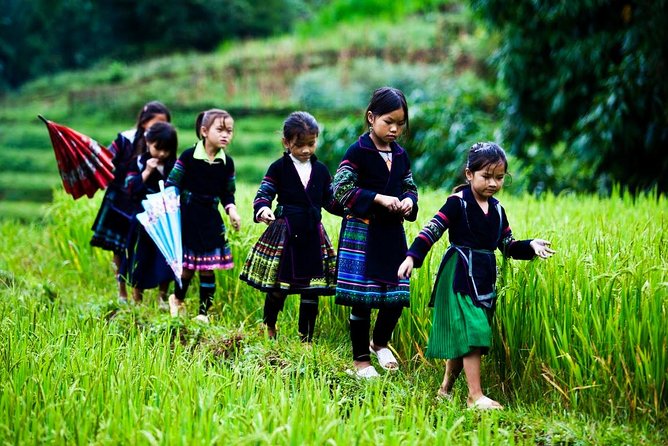 3-Day Sapa Medium Trekking by Bus From Hanoi - Pricing and Guarantee