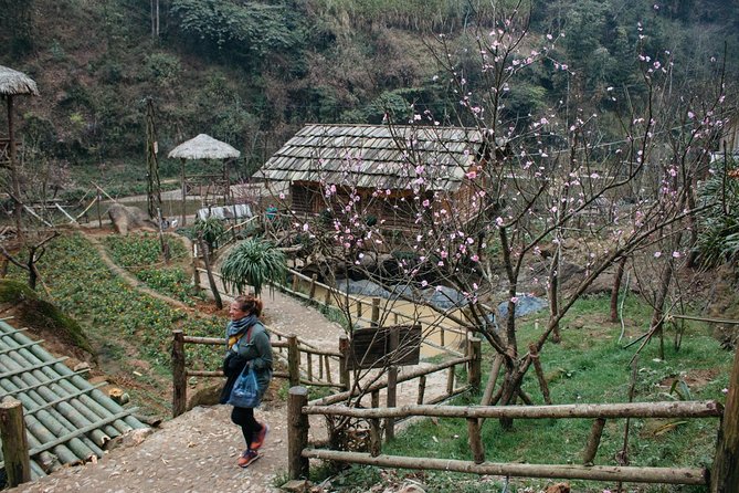 3-Day Sapa Medium Trekking by Bus From Hanoi - Start and End Time