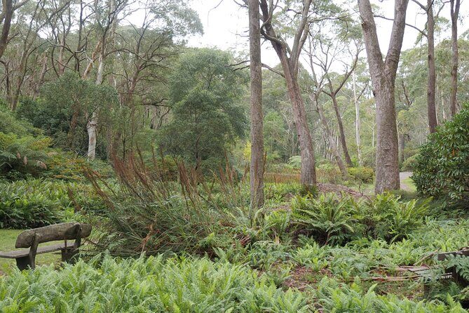 3 Day Scenic Tour of Blue Mountains from Sydney - FAQ