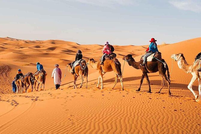 3-Day Share Desert Odyssey: Marrakech to Merzouga Camel Trekking - What To Expect