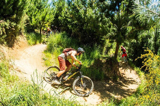 3 Day Shuttle MTB Weekend Adventure in Nelson - An In-Depth Look at the Nelson MTB Experience