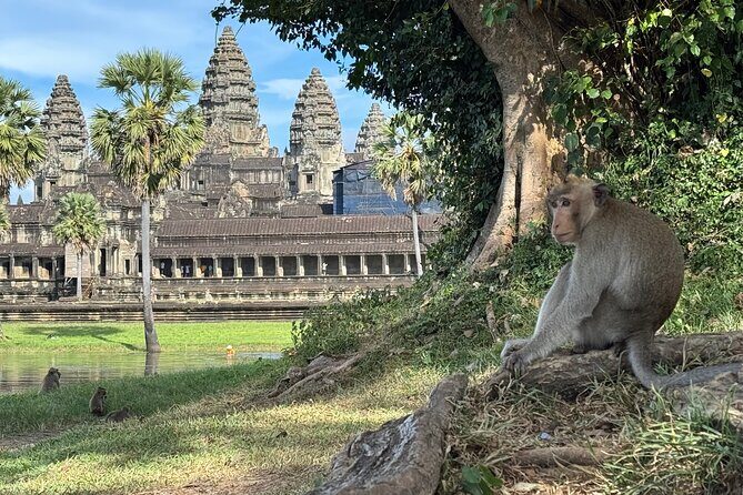 3-Day Siem Reap Tour: Angkor, Kulen Mountain & Kompong Phluk - Final Words