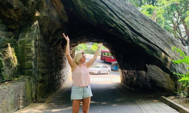 3-Day Sri Lanka Tour: Kandy Nuwara Eliya Ella & Yala Safari - What Could Be Better?