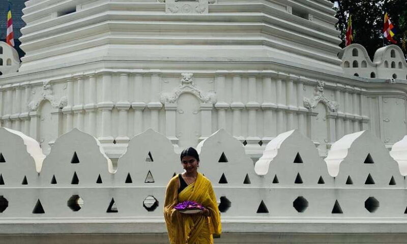 3-Day Sri Lanka Tour: Kandy Nuwara Eliya Ella & Yala Safari - Good To Know