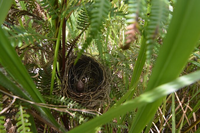 3-Day Survival and Leuser Ecosystem Tour - Wildlife Encounters