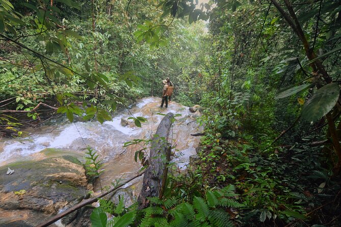 3-Day Survival and Leuser Ecosystem Tour - Camping Experience