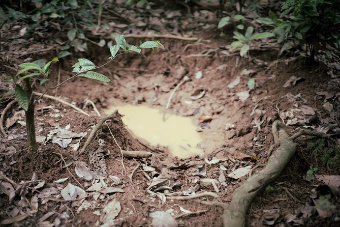 3-Day Survival and Leuser Ecosystem Tour - Safety Precautions