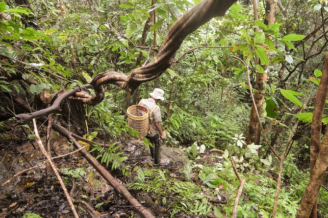 3-Day Survival and Leuser Ecosystem Tour - Frequently Asked Questions