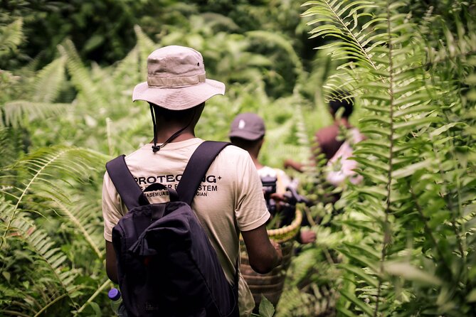 3-Day Survival and Leuser Ecosystem Tour - The Sum Up