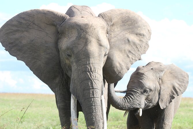 3-Day Sweetwaters: Ol Pejeta Conservancy Safari From Nairobi - Accommodations and Amenities