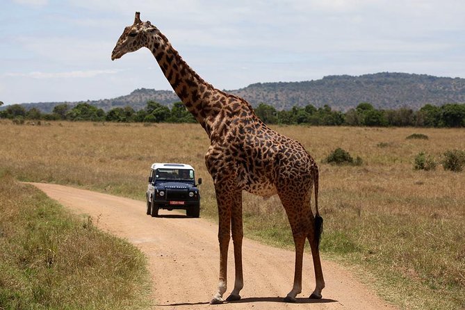 3-Day Sweetwaters: Ol Pejeta Conservancy Safari From Nairobi - Inclusions and Services