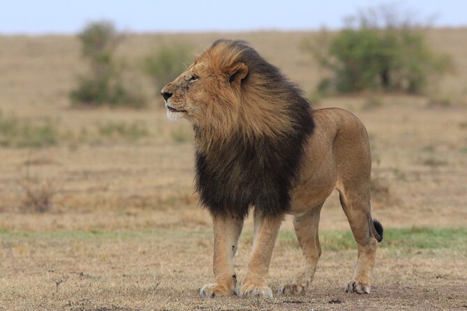 3-Day Sweetwaters: Ol Pejeta Conservancy Safari From Nairobi - Frequently Asked Questions