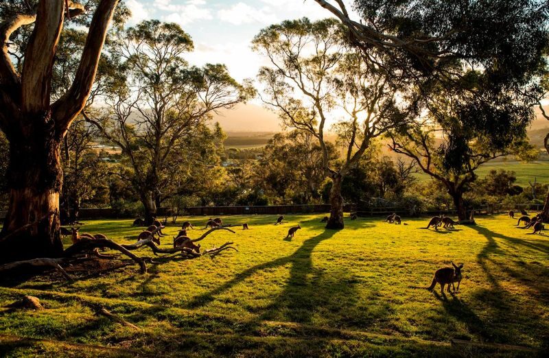 3 Day Tasmania Hobart, Port Arthur & Bruny Island Tour - Three days, three different Tasmanian moods