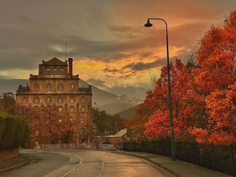 3 Day Tasmania Hobart, Port Arthur & Bruny Island Tour - Day two: Bruny Island’s coast and local produce
