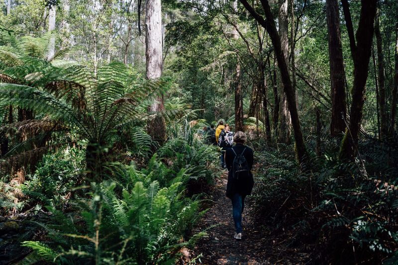 3 Day Tasmania Hobart, Port Arthur & Bruny Island Tour - Is the price good value?