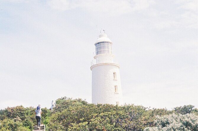 3 Day Tassie Tour Bundle Hobart, Wineglass Bay and Bruny Island - Why We Think This Tour Is a Great Choice