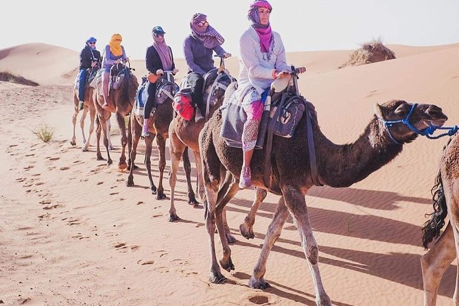 3 Day to Sahara Desert Trip From/To Marrakech - Booking and Pricing Details