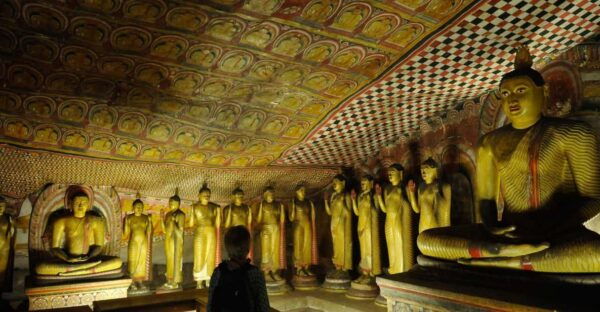 3 Day Tour From Kandy, Sigiriya , Nuwara Eliya , Kandy - Customer Experiences
