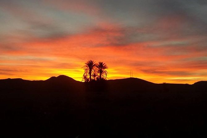 3-Day Tour From Marrakech to Fes With Desert Break - Accommodations and Meals Included