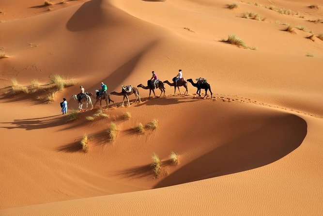 3-Day Tour From Marrakech to Merzouga Including Camel Trek and Desert Camp - Pricing and Booking