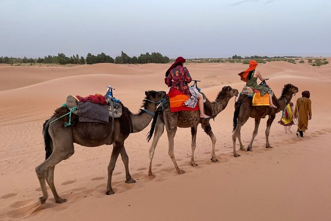 3-Day Tour From Marrakesh to Desert and Camel Trekking - Meals Included