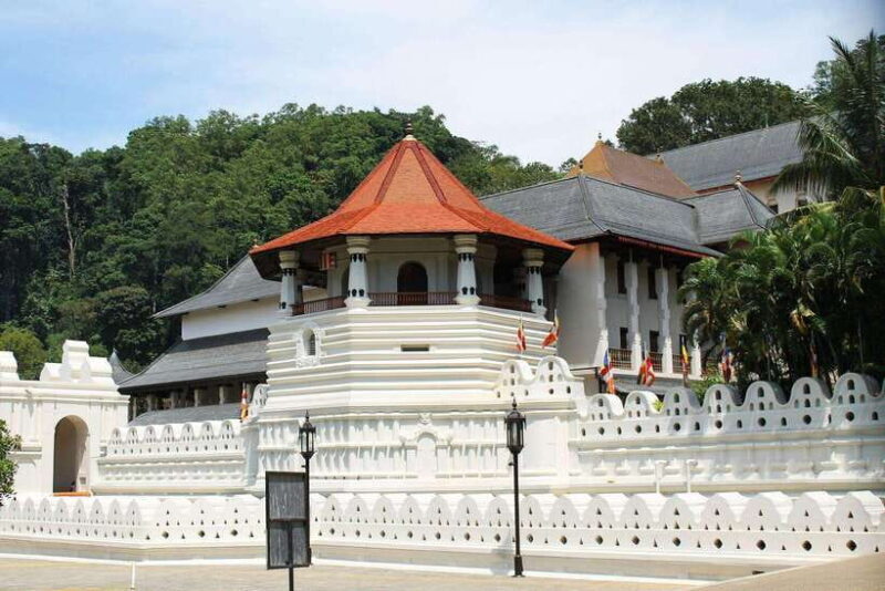3-Day Tour from Your Hotel: Explore Kandy, Ella, and Yala - Final Thoughts: Who Will Love This Tour?