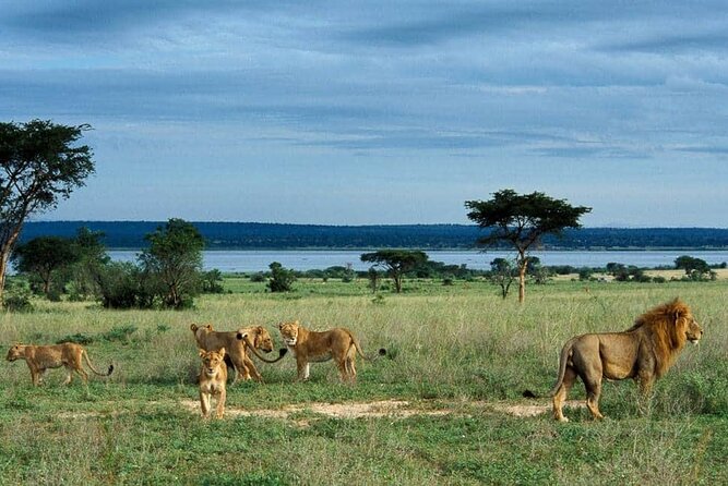 3-Day Tour in Murchison Falls Safari & Rhino Tracking - Frequently Asked Questions