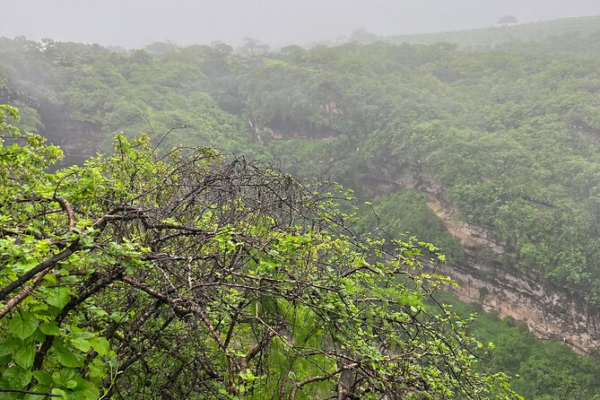 3-Day Tour Lush Greenery - Waterfalls and Rivers in Salalah - Activities and Entertainment