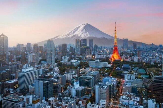 3 Day Tour ( Mt Fuji&Hakone , Nikko , Nagano Monkey Park) - Contact Details for Reservations