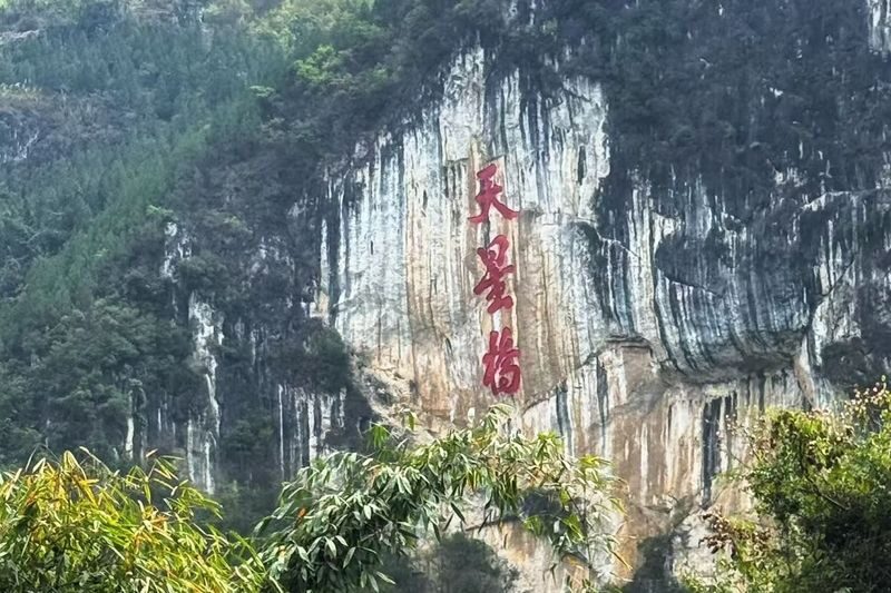 3-Day Tour of Huangguoshu Waterfall, Libo Xiaoqikong, and Xijiang Qianhu Miao Village in Guizhou (Miao Long Table Feast) - What the vehicle, guide and meals mean in practice