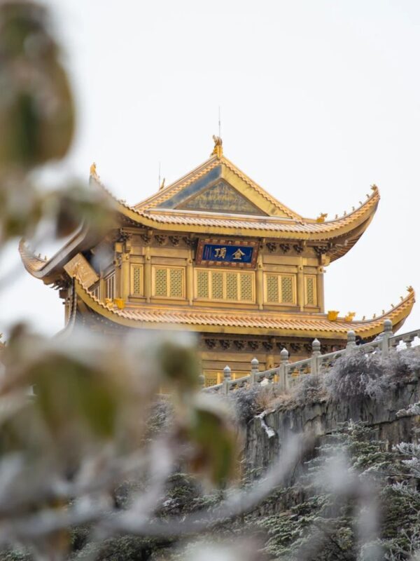 3-Day Tour of Mount Emei, Leshan & Panda Base in Sichuan - Pandas fill the early hours on Day 3