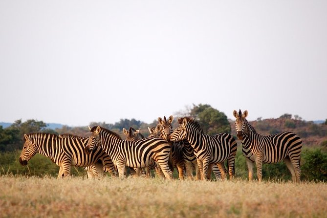 3-Day Tour to Queen Elizabeth National Park - What To Expect