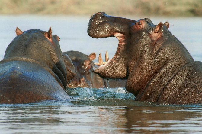 3-Day Tour to Queen Elizabeth National Park - Cancellation Policy