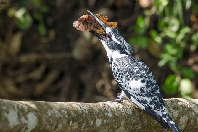 3-Day Tour to Queen Elizabeth National Park - Booking and Contact Information