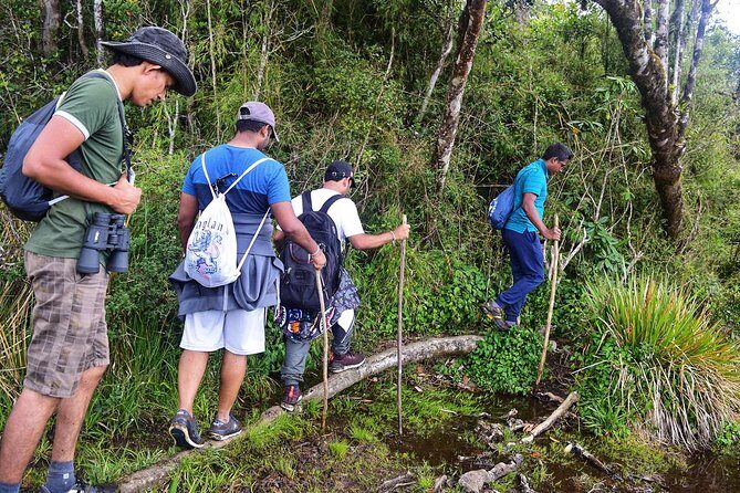3-Day tour to Vedda Village & Two National Parks - Detailed Review of the 3-Day Tour to Vedda Village and Two National Parks