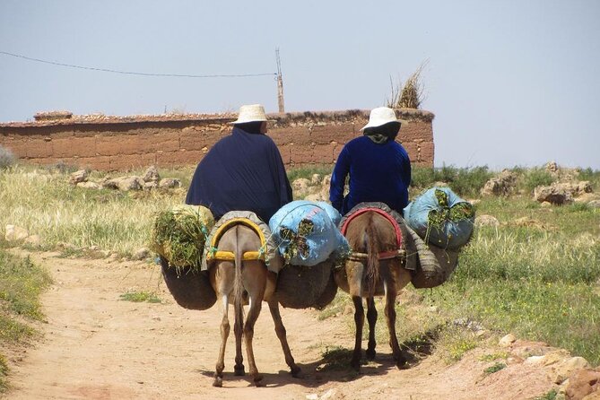 3-Day Trek High Atlas Mountains and Berber Villages From Marrakech - Logistics and Pickup