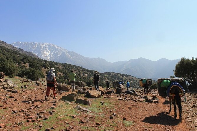 3-Day Trek High Atlas Mountains and Berber Villages From Marrakech - Maximum Travelers