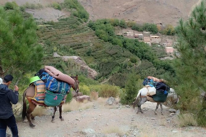3 Day Trek in the Atlas Mountains and Berber Villages From Marrakech - Tips and Recommendations