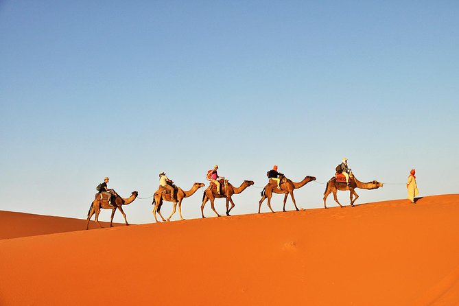 3-Day Tunisia Sahara Desert Camel Trek From Douz - What to Expect