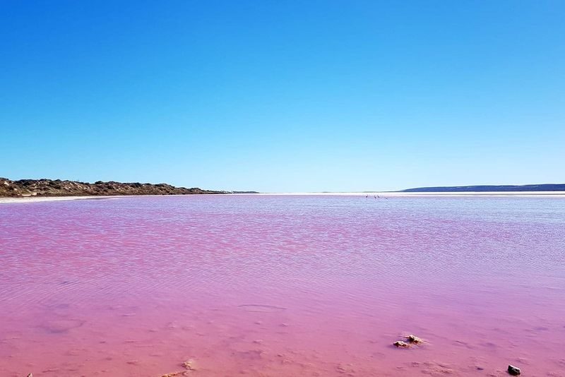 3-Day Western Australia Pink Lake and Kalbarri Tour with drone photo - Day three: sea lions, stone pillars, lobster and sand dunes