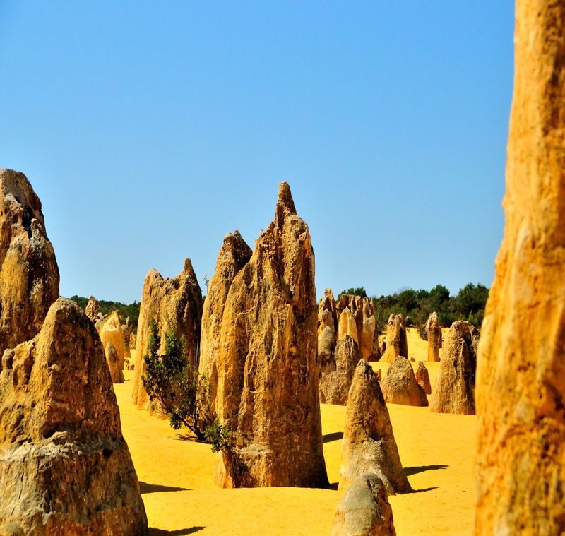 3-Day Western Australia Pink Lake Tour with Chinese speaking Guide - What the guide can add to a long road trip