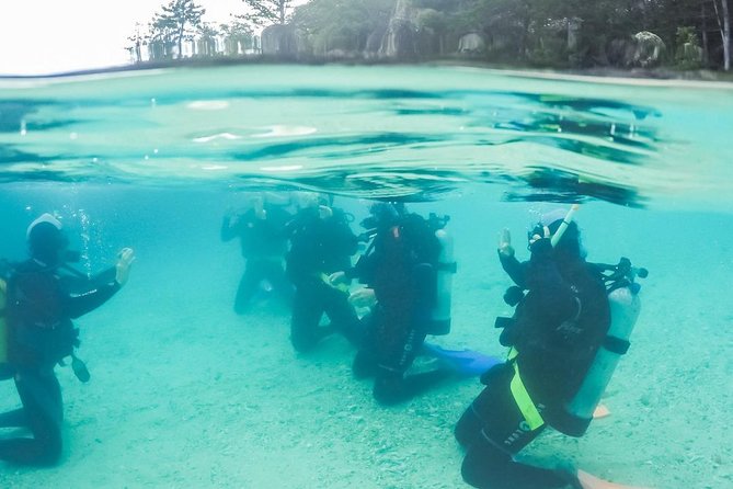 3 Day Whitsundays Sailing and Diving Adventure: Kiana - Tour Details and Requirements