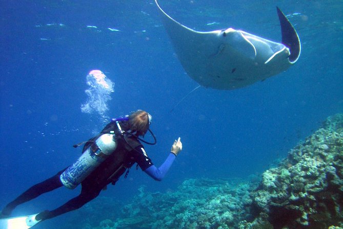 3 Day Whitsundays Sailing and Diving Adventure: Kiana - Overview of the Tour