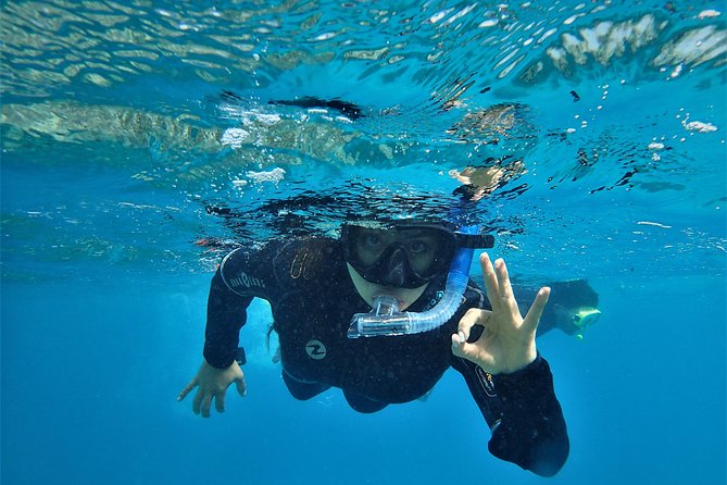 3 Day Whitsundays Sailing and Diving Adventure: Kiana - Common Questions